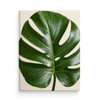Image for size: 90cm x 120cm