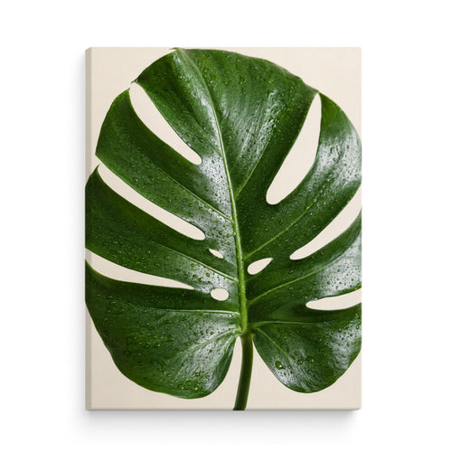 Image for size: 30cm x 40cm