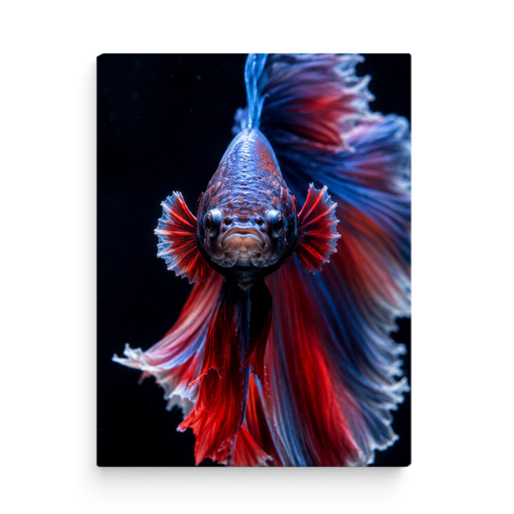 Image for size: 60cm x 80cm