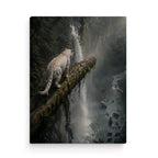Image for size: 60cm x 80cm