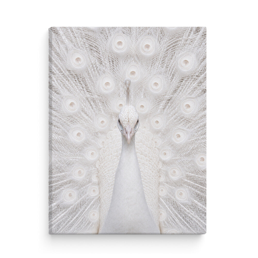 Image for size: 90cm x 120cm