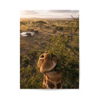 Image for size: 90cm x 120cm