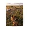 Image for size: 30cm x 40cm