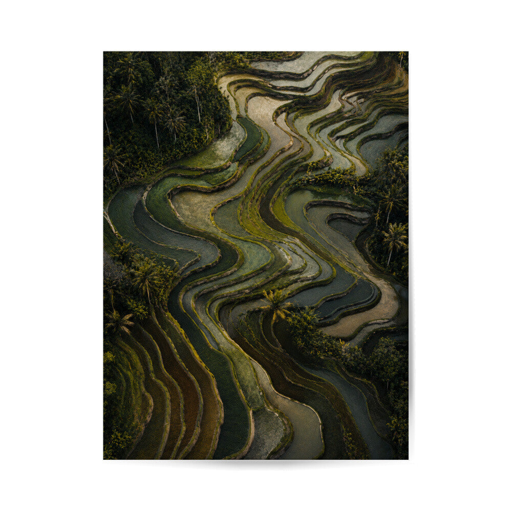 Image for size: 45cm x 60cm
